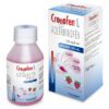 Cronofen L Jarabe 100 Ml - Imagen 2